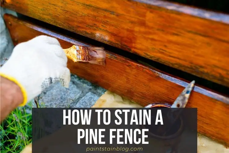 how to stain a pine fence