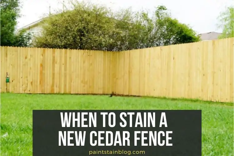 When to Stain a New Cedar Fence?